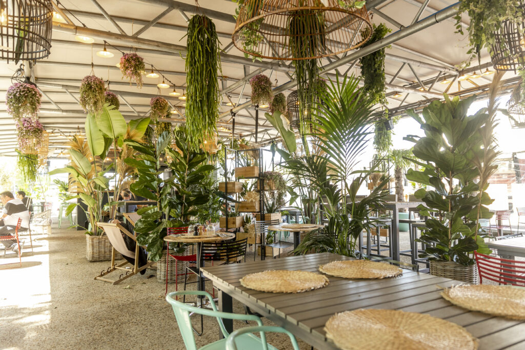Terrasse végétalisée face à la Seine